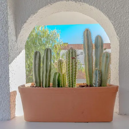 Διαμέρισμα Blue Horizon By Dream Homes Tenerife *