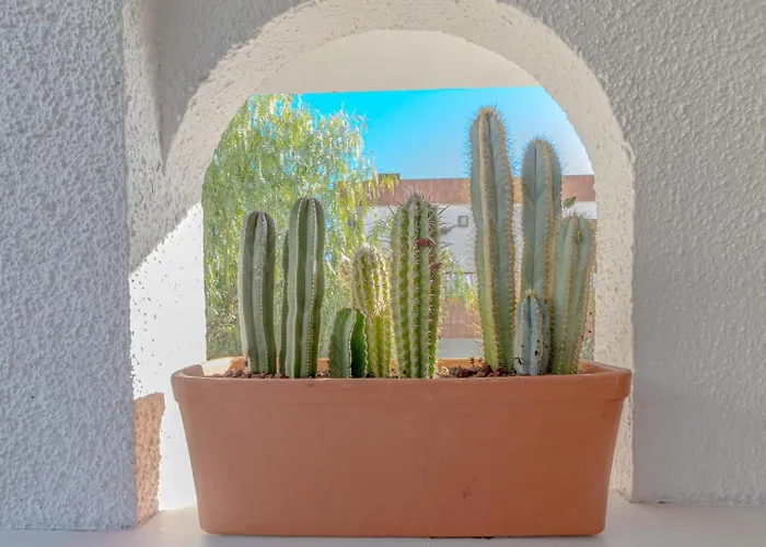 Διαμέρισμα Blue Horizon By Dream Homes Tenerife *